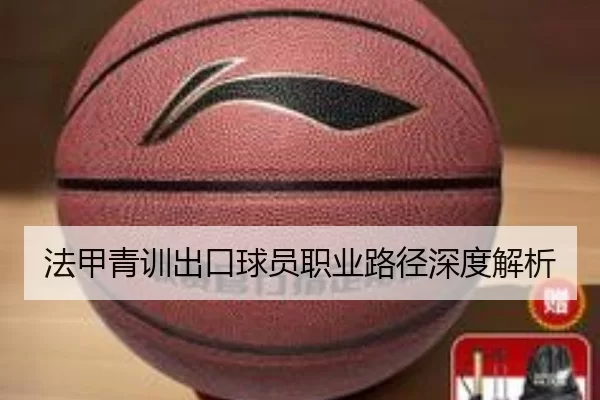 法甲青训出口球员职业路径深度解析